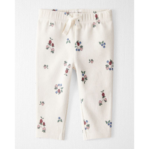 Baby Girl Organic Cotton Ribbed Knit Pants in Berry Blossom Print - Little Planet | Carter's