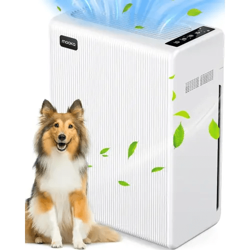 Air Purifiers for Home Large Room up to 2000ft², H13 HEPA Air Filter for Pets Hair Dander Smoke Pollen Dust, Non-Ozone, Portable Air Purifiers for Bedroom Office Living Room, E-300L, White