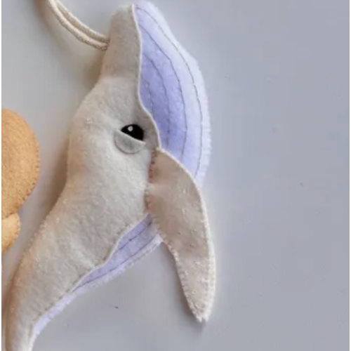 Whale