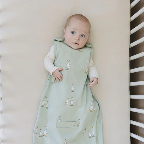 Ecolino® Adjustable Baby Sleep Bag, Organic Cotton, Universal Size: 2 Months - 2 Years, Goose