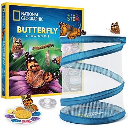 National Geographic Butterfly Growing Kit for Kids Nature Activity