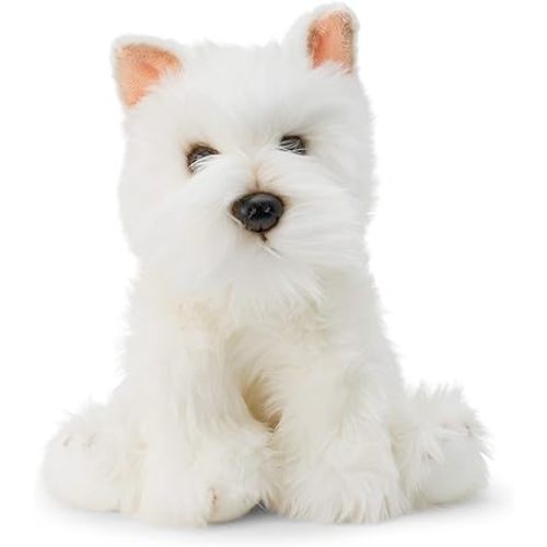 Westie Dog