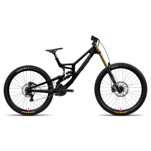 Santa Cruz V10 DH X01