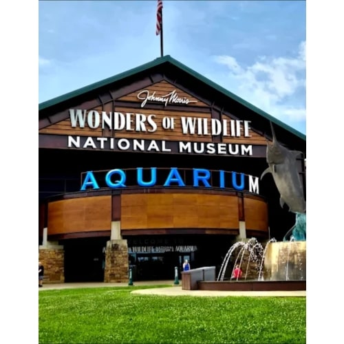 Gift Cards for Tickets, Memberships or Online Store | Wonders of Wildlife