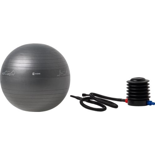 Evoke Exercise Ball 65 cm