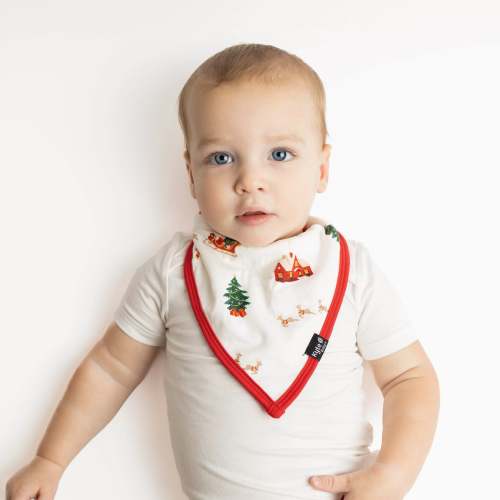 Bib in Santa Sleigh