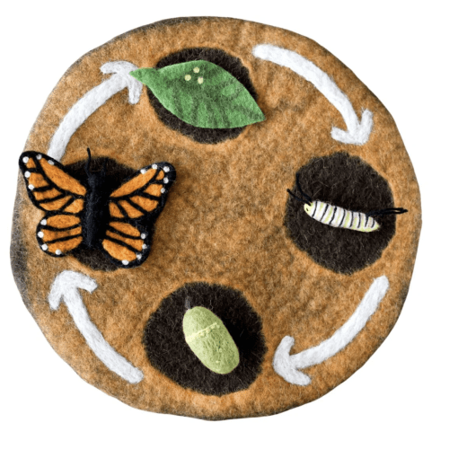 Felted Butterfly Life Stages Set with Playmat