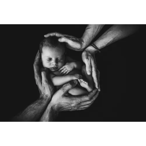 Services — 3D/4D/HD $109 + Heartbeat Bear