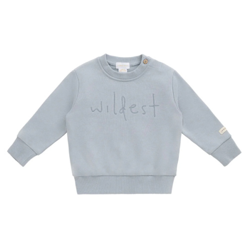 Organic Cotton Dominic Sweatshirt - Coast Wildest – Jamie Kay USA