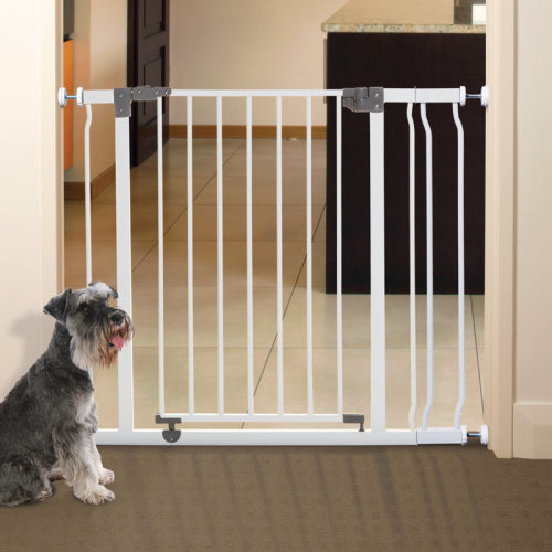 Dreambaby Liberty Safety Gate & Reviews | Wayfair