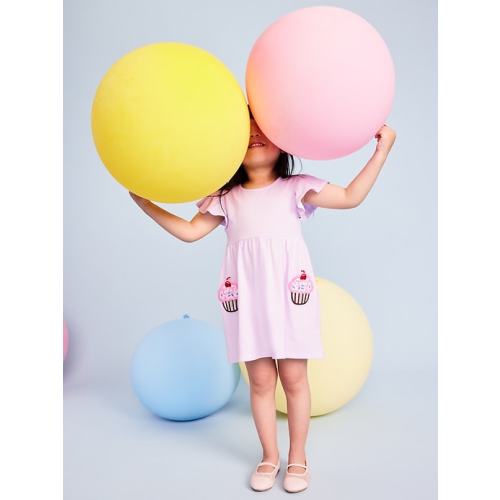 Birthday Embroidered Pockets Fit and Flare Dress for Toddler Girls