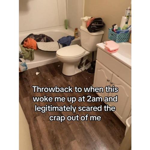 TikTok - Make Your Day