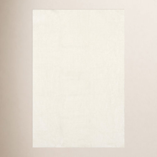 Alvina Solid Machine Washable Runner Shag Rug for Living Room Bedroom Dining Room Nursery Entryway Hallway