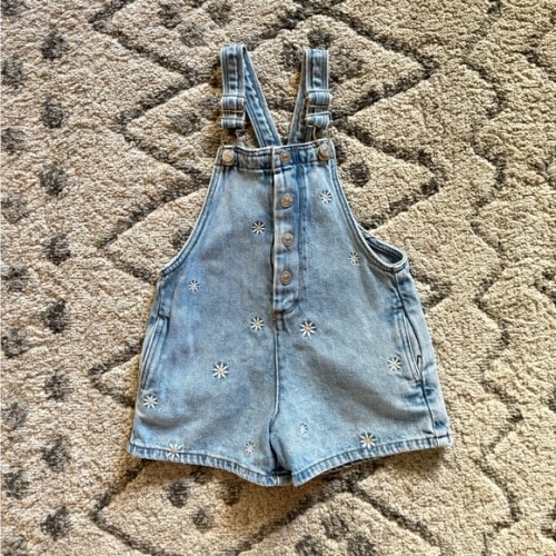 Zara embroidered daisy overalls