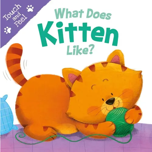 What Does Kitten Like?: Touch & Feel Board Book (Touch and Feel)