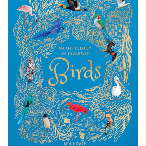 An Anthology of Exquisite Birds: Discover the Beauty of the Avian World (DK Children's Anthologies)