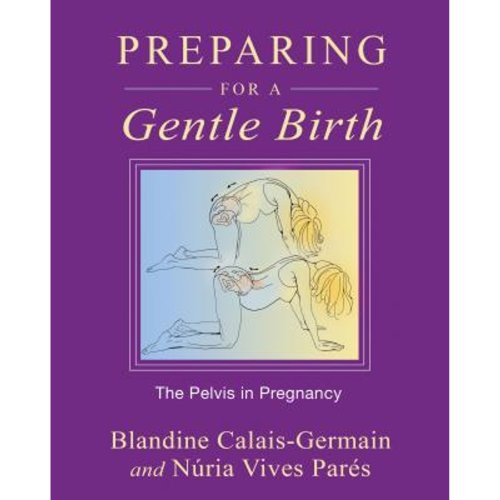 Pre-Owned Preparing for a Gentle Birth: The Pelvis in Pregnancy (Paperback) 1594773882 9781594773884