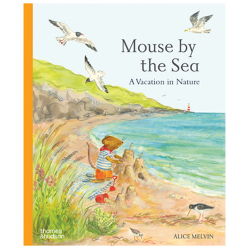 Mouse by the Sea lift the flap (Alice Melvin): The Wooden Wagon