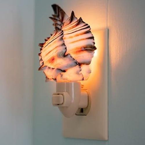 Seashell Night Light – Black Murex Nautical NightLight – Shell Light for Bathroom – Sea Shell Lamp – Seashell Lamp Plug Into Wall