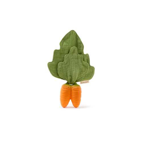 Cathy the Carrot Lovey-Teether