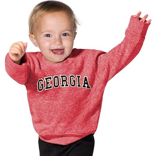 Little King NCAA Infant Boys and Girls Crewneck Knobby Sweatshirt with Tackle Twill Letters-Team Colors 6M 12M 18M
