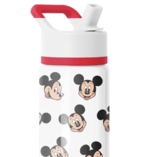 Summit Water Bottle with Straw Lid