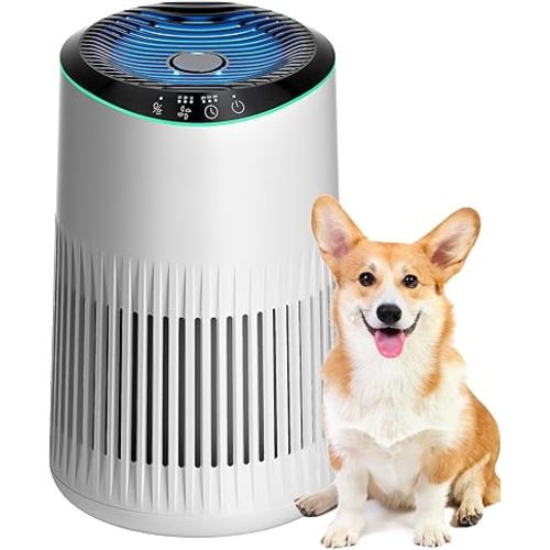 Air Purifiers for Bedroom Home, Air Purifier for Smoke Odors with Fragrance Sponge, Small Air Purifier with Sleep Mode for Bedroom Office, Blue Night Light, White, 1 Pack+3 Modes