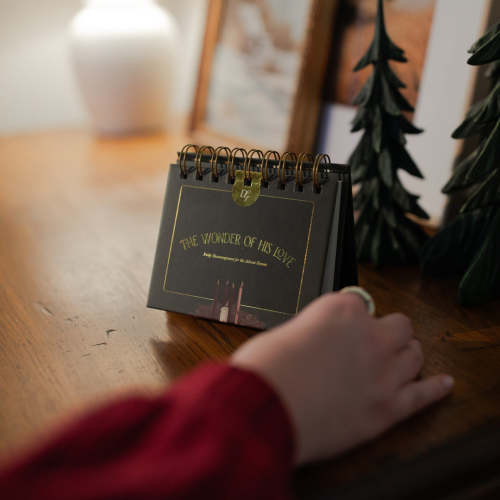 The Wonder of His Love | TDGC – The Daily Grace Co.