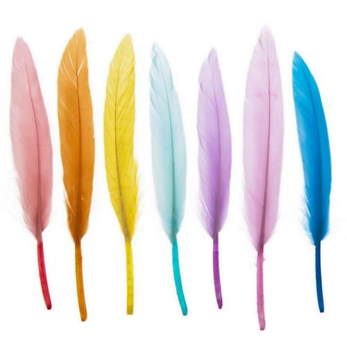 Pastel Craft Feathers