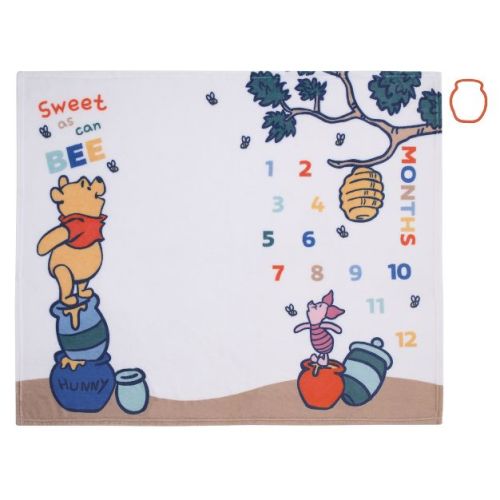 NoJo Disney Winnie the Pooh White, Blue, and Yellow Sweet As Can Bee Super Soft Photo Op Milestone Baby Blanket