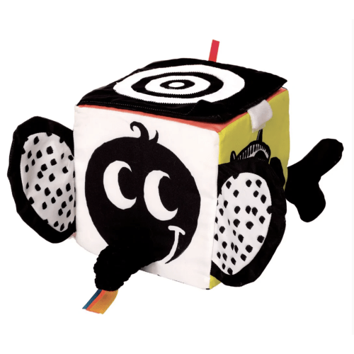 Wimmer Ferguson Learning Cube