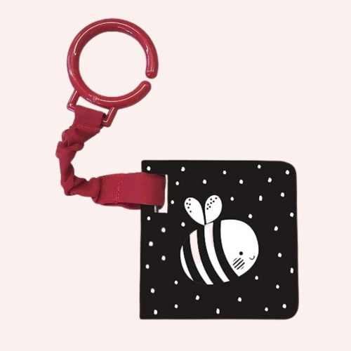 Baby Touch: A Black-and-White Buggy Book