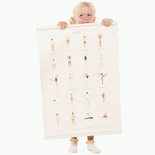 Ballet Basics Poster
