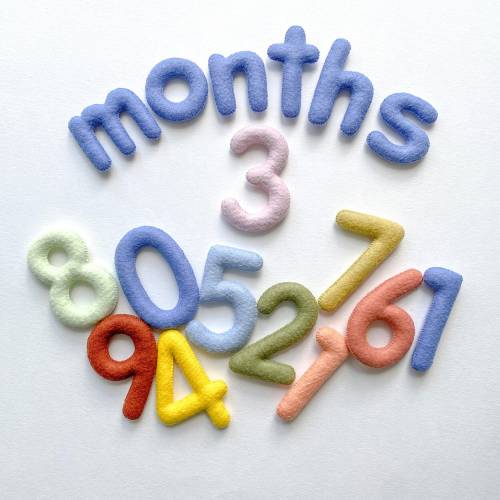 Felt Baby Milestone Numbers: Monthly Photo Prop
