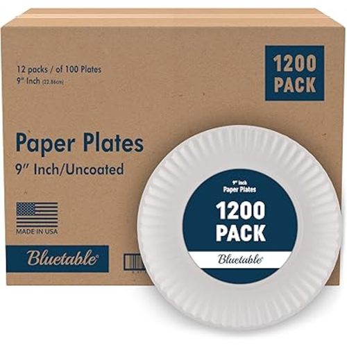 Bluetable 9 Inch Paper Plates Bulk – 1200 Count - Uncoated White 9” Dinner Plate Pizza Plate Decorative Craft Paper Plates Disposable Plates [1200 Pack/Case]