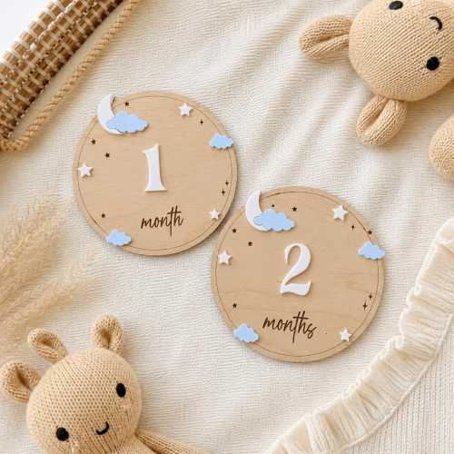 Baby Monthly Milestone Signs
