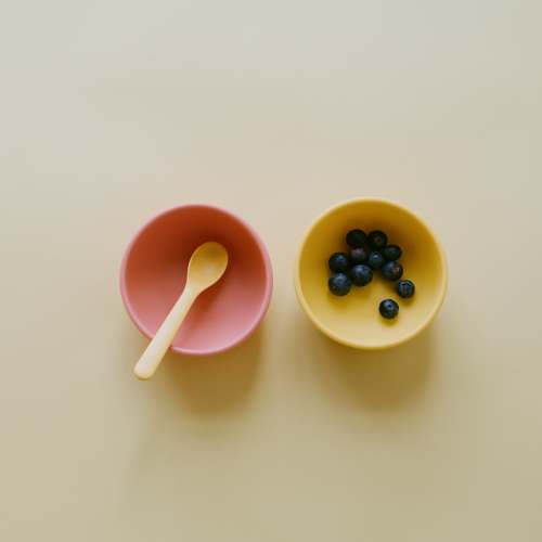 Suction Bowl Set