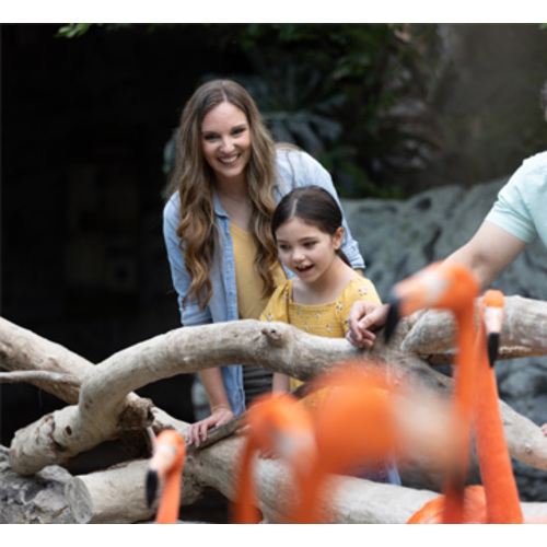 Texas State Aquarium Membership