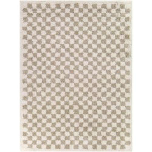 Covey Beige 5 ft. x 7 ft. Checkered Shag Area Rug