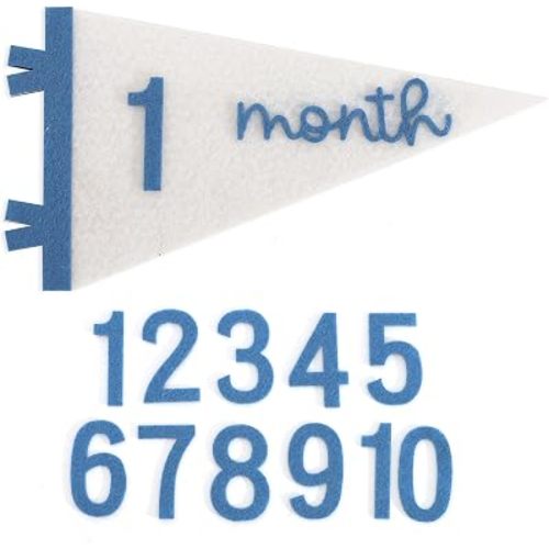 Baby milestone cards, Milestone flag Baby, Monthly milestone marker, Personalized pennant, Monthly milestones baby boy, Millistone card