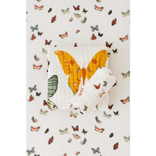 Butterfly Essential Bundle