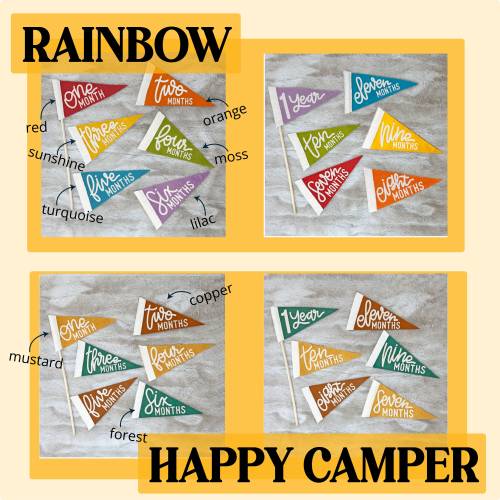BABY MILESTONE SET Monthly Pennant Photo Props | Set of 6 Double-Sided Reversible 4x7" Flags with Removable Stick