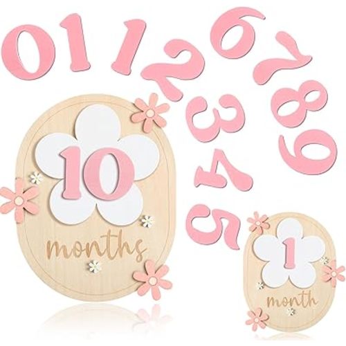 12 Months Baby Monthly Milestone Cards with 11 Interchangeable Numbers for Baby Growth Recording Daisy Wooden Bohemian Milestone Blocks Milepost Signs Boy Girl Photo Props