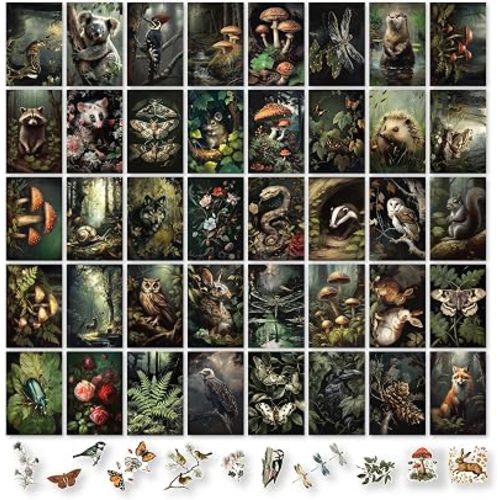 97 Decor Dark Cottagecore Wall Collage Kit, 40 Pcs Prints, 4x6
