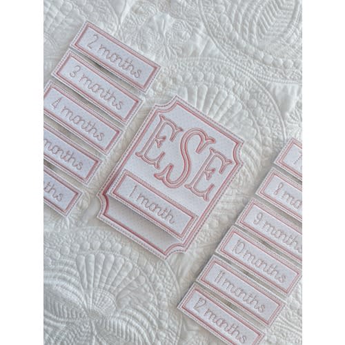 Baby Monthly Milestone Keepsake Set — Pink Bitty Dot