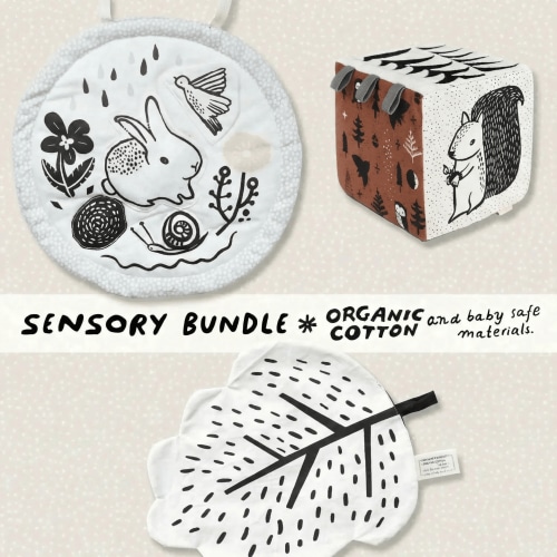 Sensory Bundle for Baby - Leaf
