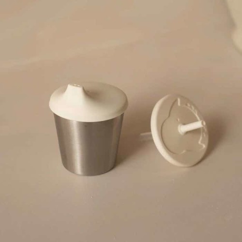 Stainless Steel 2-in-1 Cup with Straw and Spout
