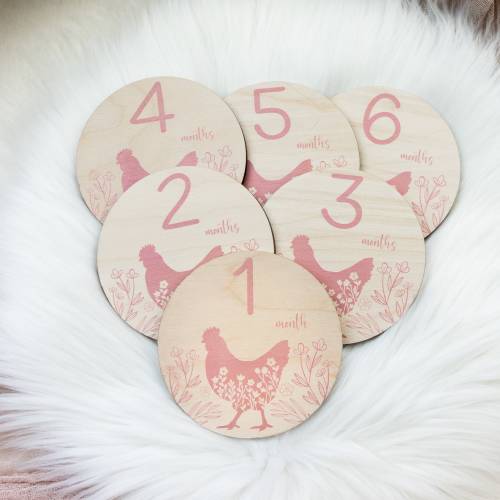 Girl Chicken Milestone Cards, Farm Animals Milestone Cards, Wood Milestone Card, Baby Milestones, Photo Prop, Chicken Hen Nursery Theme C23