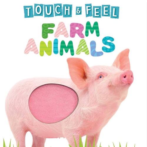 Touch and Feel Farm Animals - Novelty Book - Children's Board Book - Interactive Fun Child's Book