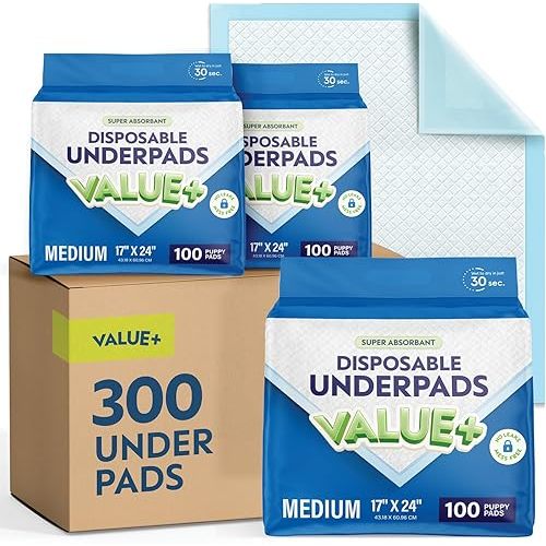 Disposable Chucks Pads [300 Pack - 17x24] Diaper Changing Pad Incontinence Bed Underpads for Baby, Dog & Puppy Pee Pads - Small Waterproof Blue Chux for Medical, Beds, Pet Crate Liners & Travel